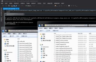 软件开发中的技术转让 关键策略与实施步骤