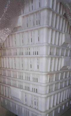 晋中平遥县豆腐成套设备及技术转让服务简介